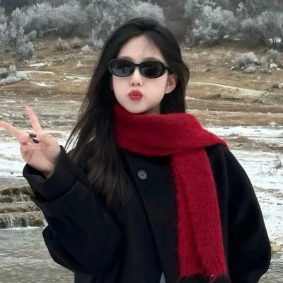 哈利波特：凤凰会的密令